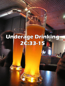 Madison Underage Drinking Lawyer  NJ 2C:33-15