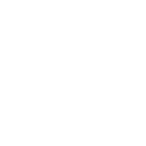 Daily Record