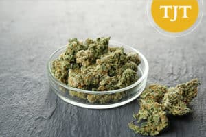 Marijuana buds in a glass dish, illustrating hashish and marijuana records cleared through automatic expungement in Morris County, New Jersey
